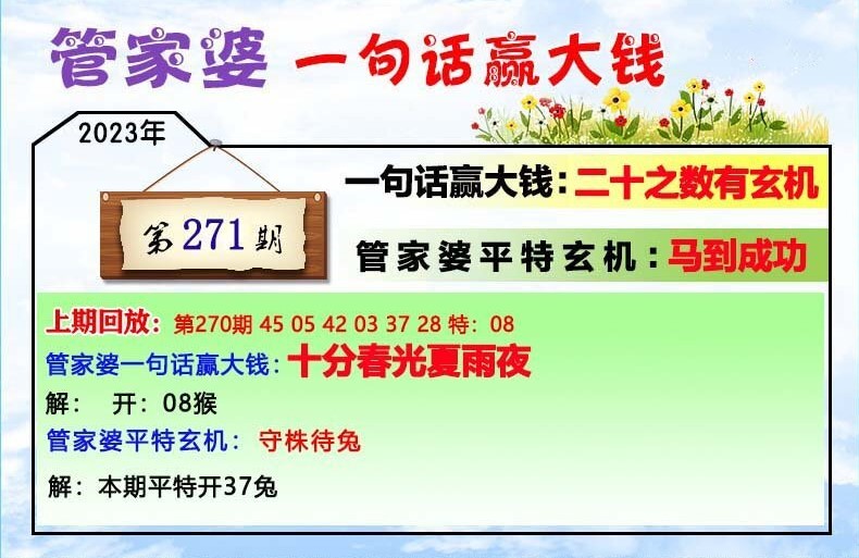 202管家婆一肖一码,数据解答解释落实_BT76.300