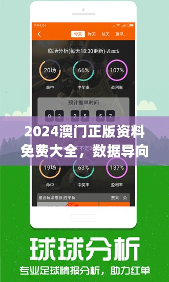 2024年澳门今晚必开一肖,数据实施导向策略_NE版59.941