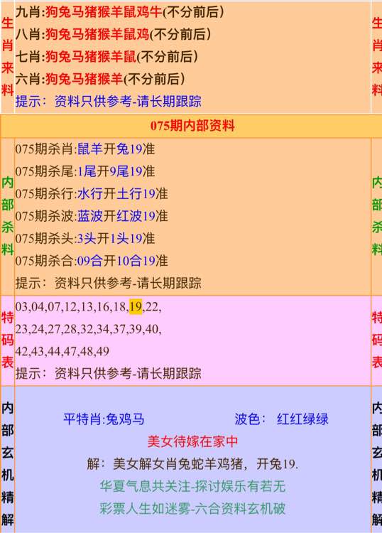 2024年正版资料免费大全一肖,深入分析定义策略_升级版47.538