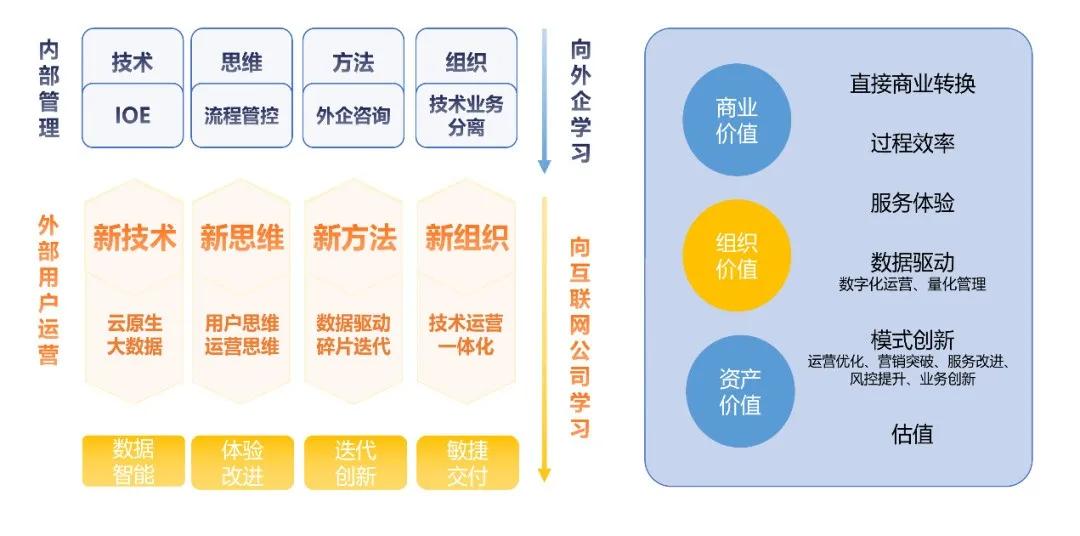 新奥资料免费精准,全面解析数据执行_增强版169.213