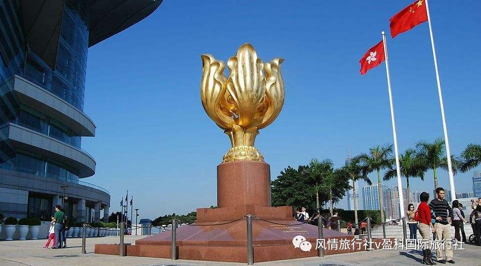 澳门正版免费全年资料大全旅游团,动态词语解释落实_1440p97.39.61