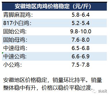 鸡价网最新动态解析报告