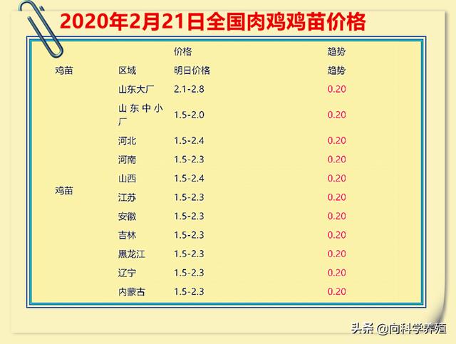 今日鸡苗价格行情深度解析