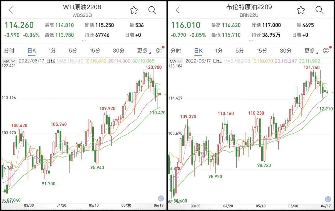 宠物市场最新行情深度解析，宠物价格走势与趋势探讨