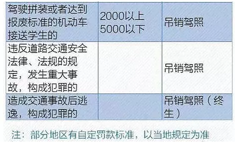 最新交通违章规定及其影响分析