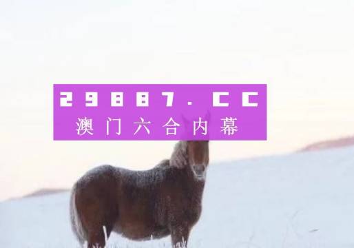 澳门今晚一肖必中特,综合分析解释定义_体验版33.678