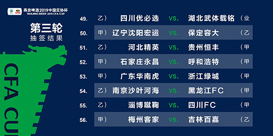 2024年澳门精准免费大全,详细解读落实方案_Q53.269