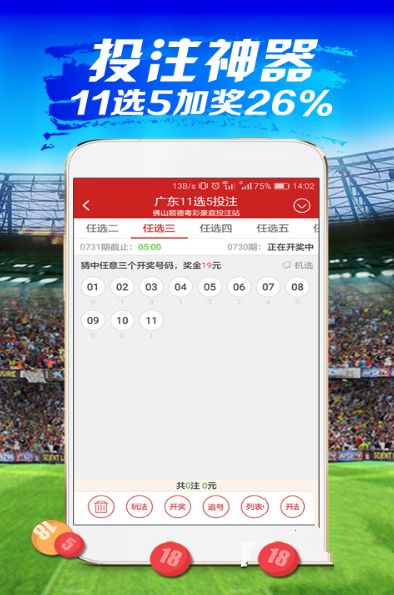 内部免费一肖一码,稳定设计解析_app28.67