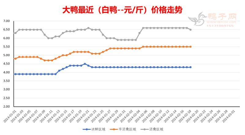 蛋鸭最新价格动态与市场分析报告